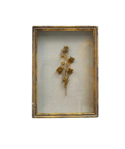 Framed Rampion Bell Flower, Gold