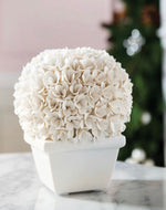 Load image into Gallery viewer, Boston Round Boxwood Topiary
