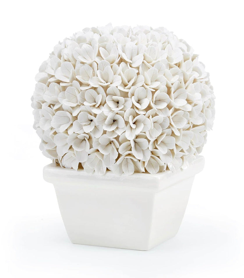 Boston Round Boxwood Topiary