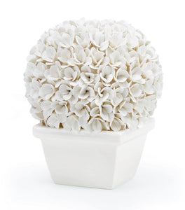 Boston Round Boxwood Topiary